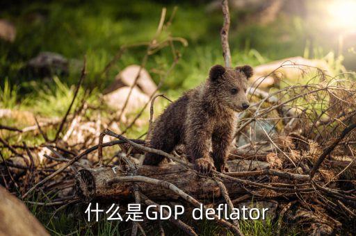 什么是GDP deflator