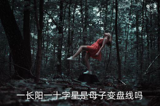 一長(zhǎng)陽(yáng)一十字星是母子變盤線嗎