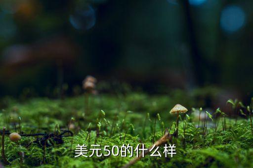 美元50的什么樣