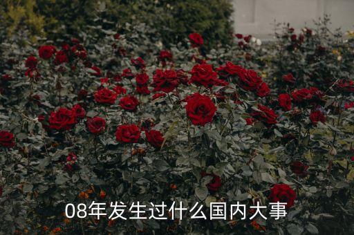 08年發(fā)生過什么國內(nèi)大事