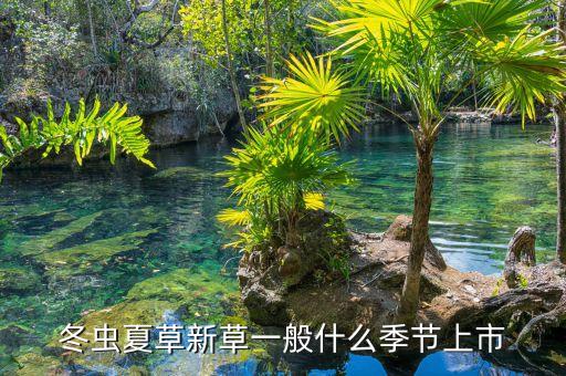 冬蟲夏草什么時(shí)候上市，哪幾家上市公司賣冬蟲夏草