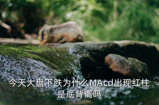 今天大盤下跌為什么MAcd出現(xiàn)紅柱是底背離嗎