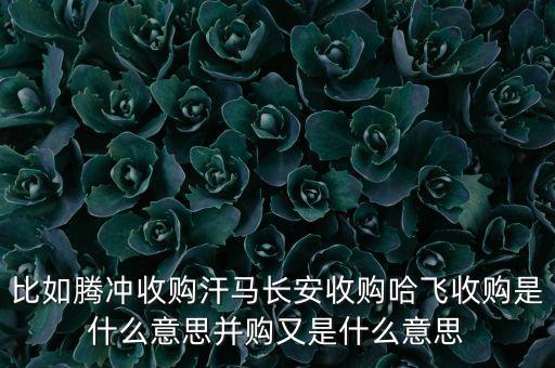 長安為什么收購哈飛，比如騰沖收購汗馬長安收購哈飛收購是什么意思并購又是什么意思