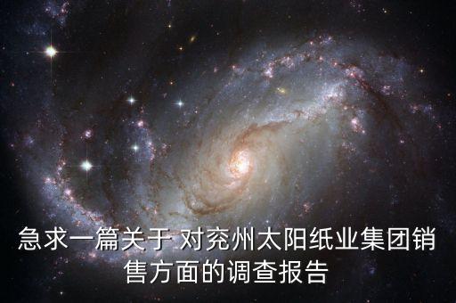 急求一篇關(guān)于 對兗州太陽紙業(yè)集團銷售方面的調(diào)查報告