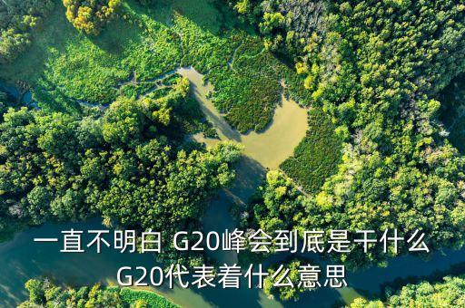 一直不明白 G20峰會到底是干什么G20代表著什么意思