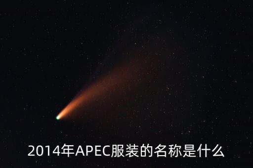 apec穿什么，apec會議在中國開過幾次當(dāng)時的首腦會議穿的是什么服裝