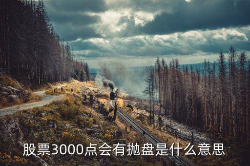 拋盤(pán)是什么意思，股票3000點(diǎn)會(huì)有拋盤(pán)是什么意思