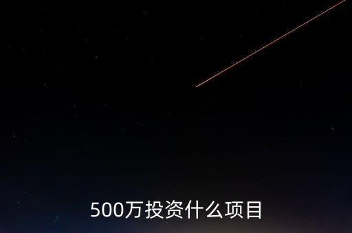 500萬投資什么實(shí)業(yè)，500萬投資什么項(xiàng)目