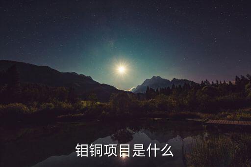 鉬銅項目是什么