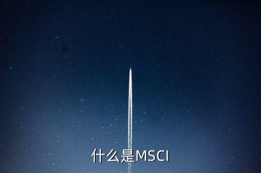 什么是MSCI