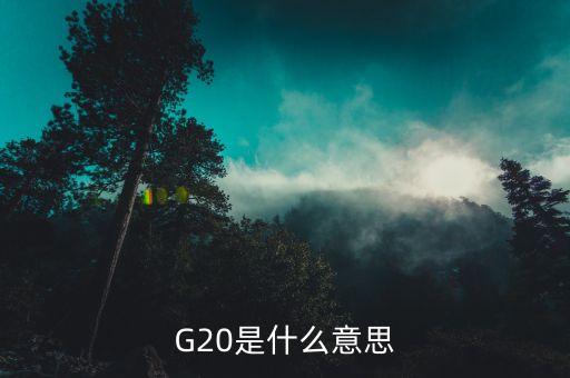 g20峰會是什么意思，g20峰會是什么意思