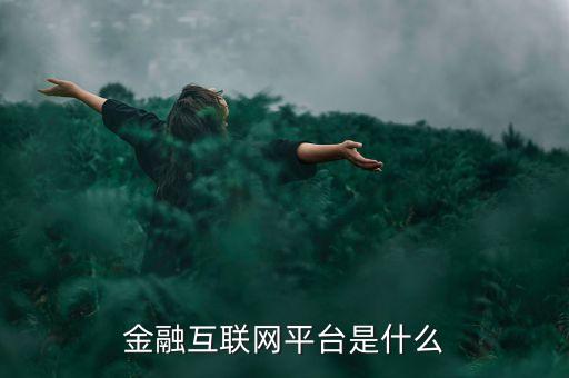 金融互聯(lián)網(wǎng)平臺是什么