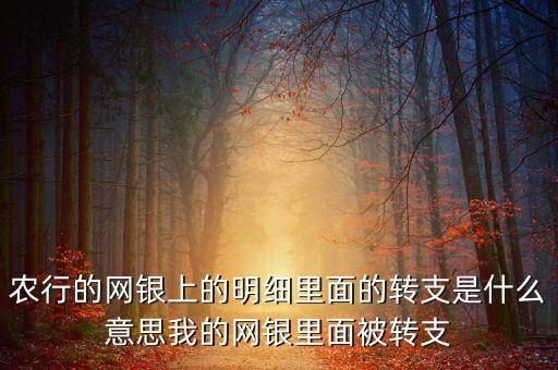 農(nóng)行的網(wǎng)銀上的明細(xì)里面的轉(zhuǎn)支是什么意思我的網(wǎng)銀里面被轉(zhuǎn)支