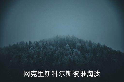 斯科爾斯為什么叫，斯科爾斯為什么叫做生姜頭