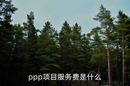 ppp項(xiàng)目服務(wù)費(fèi)是什么