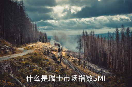 什么是市場指數(shù)，什么是瑞士市場指數(shù)SMI