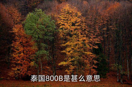 有色800b是什么，泰國(guó)800B是甚么意思