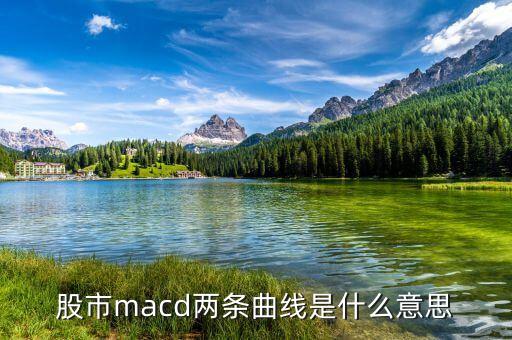 macd兩根曲線是什么意思，股市里MACD的兩條線是什么意思