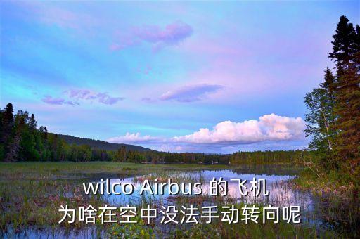 wilco Airbus 的飛機(jī) 為啥在空中沒(méi)法手動(dòng)轉(zhuǎn)向呢