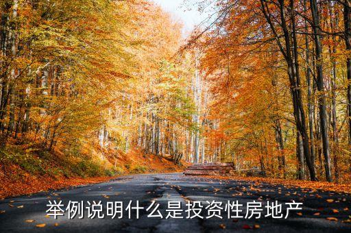 舉例說明什么是投資性房地產(chǎn)