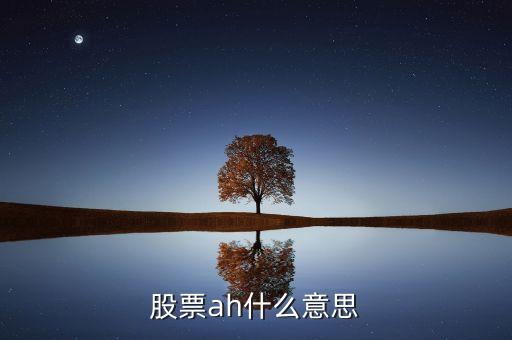 股票中ah是什么意思，股票ah什么意思