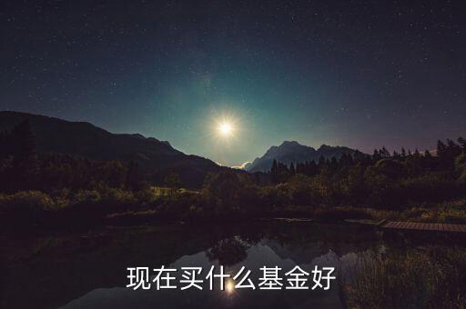 現(xiàn)在適合買什么基金，現(xiàn)在買什么基金最好