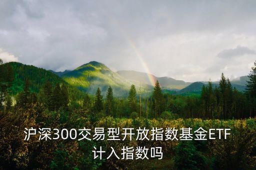 滬深300交易型開放指數(shù)基金ETF計(jì)入指數(shù)嗎