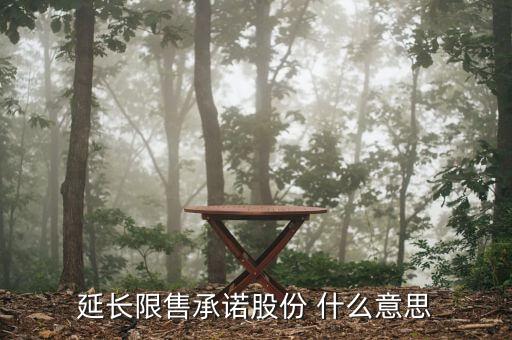 追加限售期什么意思，延長(zhǎng)限售承諾股份 什么意思