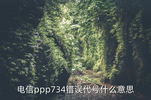 ppp在醫(yī)學(xué)代表什么，電信ppp734錯(cuò)誤代號(hào)什么意思