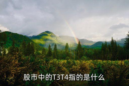 什么是t3交易，美國(guó)華爾街T3交易公司是什么能說具體點(diǎn)好先謝