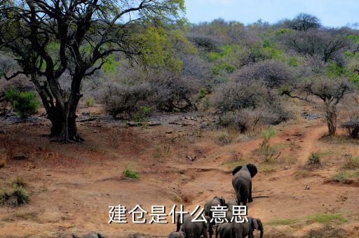 建倉是什么意思