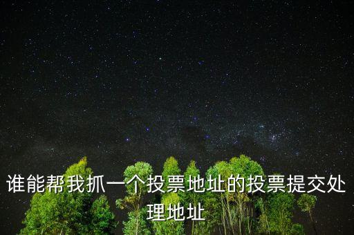 投票提交處理地址是什么，提交投票的問題怎么處理