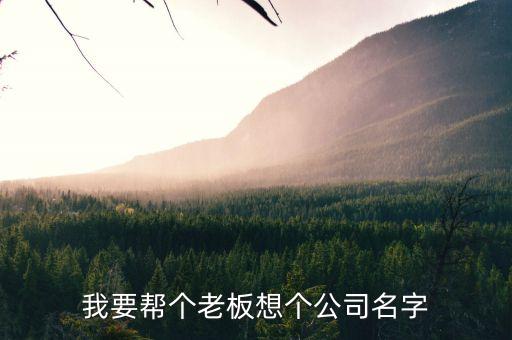 速貸幫的老總叫什么名字，我要幫個老板想個公司名字