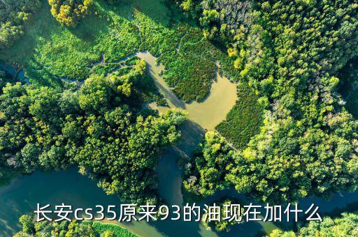 長安cs35加什么油，長安cs35在改為國v標后應加92還是95號油