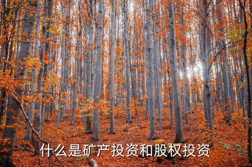 什么叫股權(quán)投資，什么是礦產(chǎn)投資和股權(quán)投資