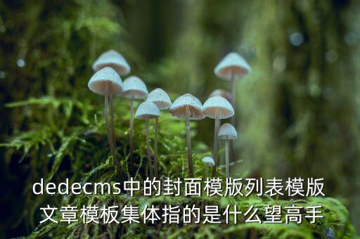 dedecms中的封面模版列表模版 文章模板集體指的是什么望高手