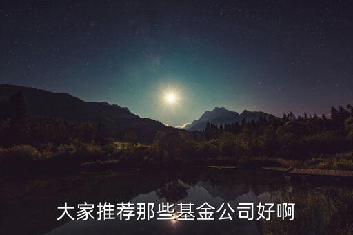 什么基金公司好，大家推薦那些基金公司好啊