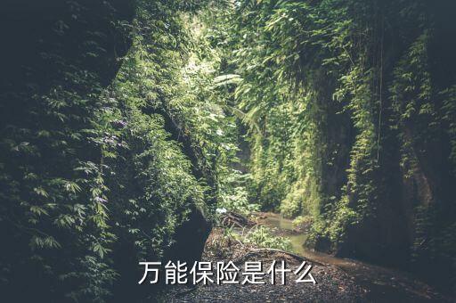 萬能保險(xiǎn)是什么