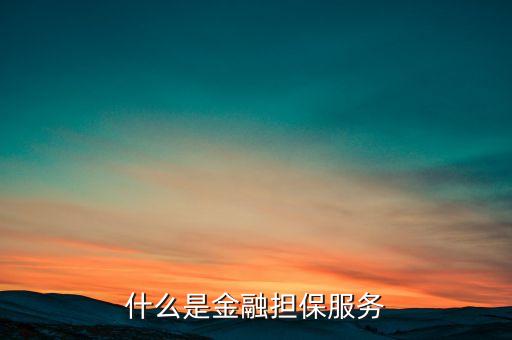 什么是金融擔保服務