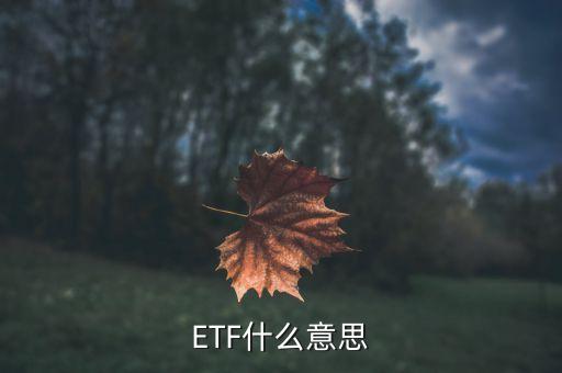 ETF什么意思