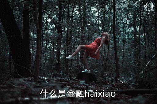 什么是金融haixiao