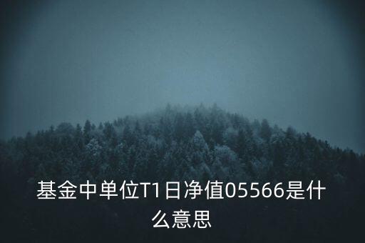 單位t1日凈值是什么意思，基金中單位T1日凈值05566是什么意思