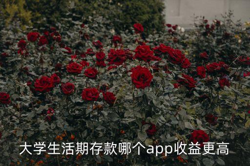 什么軟件存錢收益高，大學生活期存款哪個app收益更高