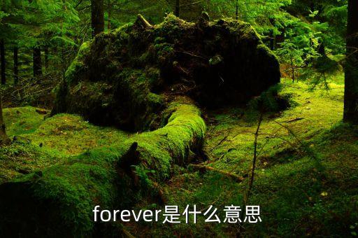 forever是什么意思