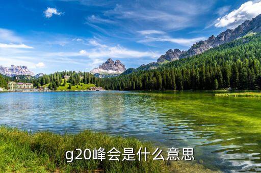 g20峰會(huì)是什么意思