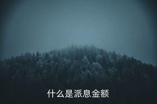 什么是派息金額