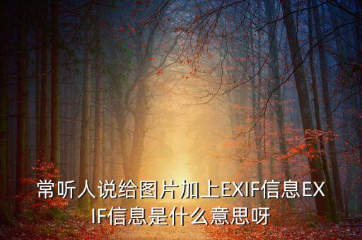 常聽人說給圖片加上EXIF信息EXIF信息是什么意思呀