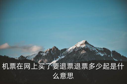 機(jī)票在網(wǎng)上買(mǎi)了要退票退票多少起是什么意思