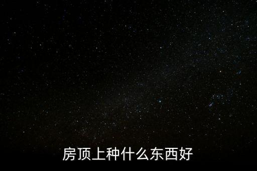 房頂上種什么東西好