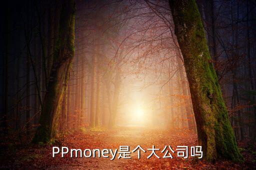 PPmoney是個(gè)大公司嗎